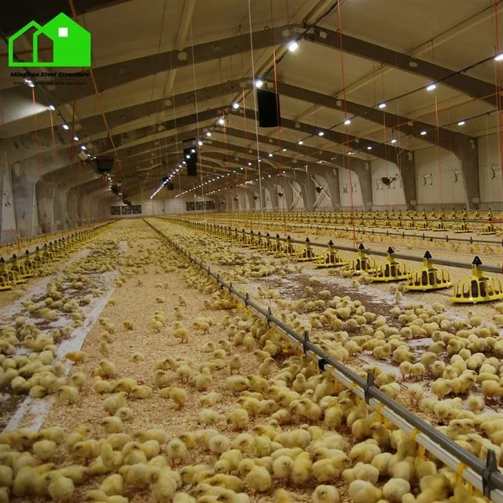 Industrial Chicken House