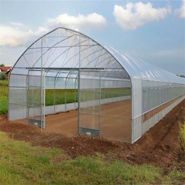 Low Cost Greenhouse Low Cost Greenhouse