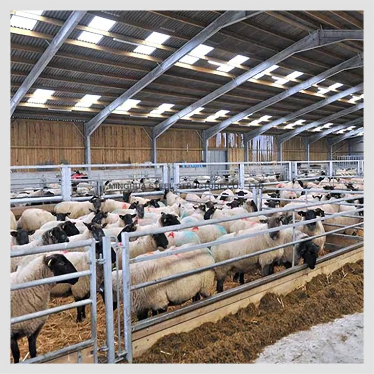 Steel Structure Sheep Farm