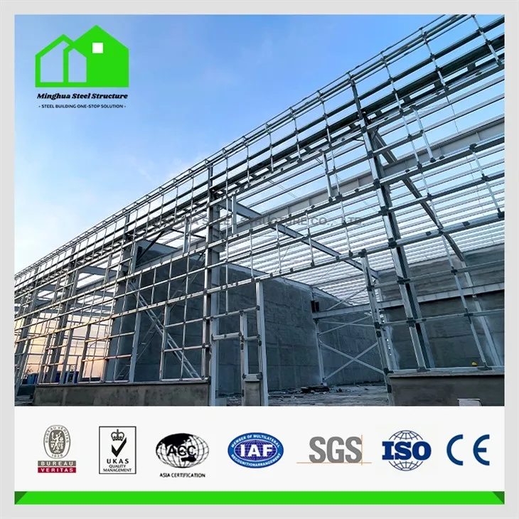 Indian Steel Structure Garment Workshop