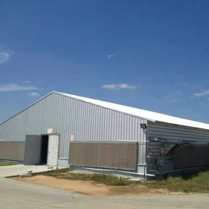 Prefabricated Galvanized Steel Chicken House | 50-Year Anti-Corrosion